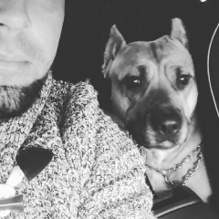 Sergiy Talalaev, 01.08.1989