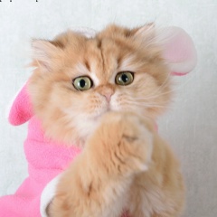 Екатерина Шивис, 28.06.1980, Санкт-Петербург