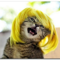 Наташа Жаворонкова, 07.03.1989, Киев