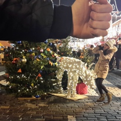 Нигина Хайдарова, 30.12, Миньяр