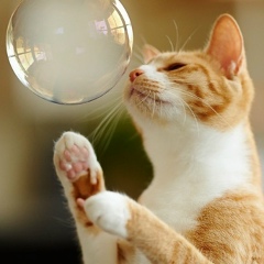 Сергей Нестеренко, 22.11, Петрозаводск