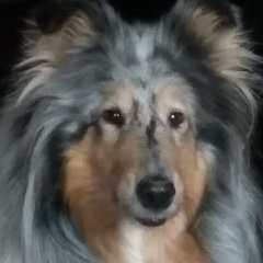 Надежда Грищенко-Скаринова, 26.09.1967, Санкт-Петербург