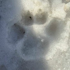 Салтанат Бегимова, 02.05.1986, Актобе