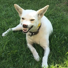 Виктория Иванова, 23.05, Омск