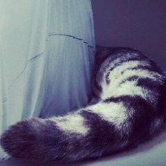 Renat Garifyanov, 12.10.1989, Санкт-Петербург