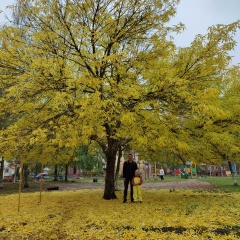 Лев Силкин, 07.02.1989, Ярославль