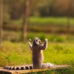 Мишаня Громадский, 04.02, Харьков