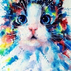 Василиса Петрова, 06.05.2000, Торжок