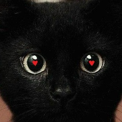 Dim Pro, 30.12, Санкт-Петербург