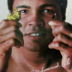 Adil-A Abdrahmanov, 22.12.1989, Алматы