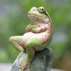 Дамир Темиров, 15.10, Талдыкорган