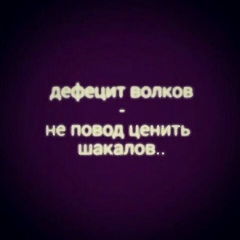 Аюб Сатуев, Шали