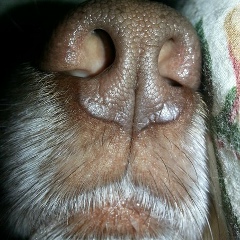 Руслан Халиуллин, 11.02, Казань