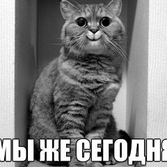 Thomas ., 09.10, Кокшетау