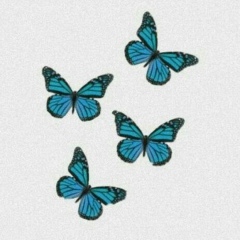 Елена Елена, 22.11.1994