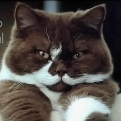 Денис Хамидуллин, 18.09.1985