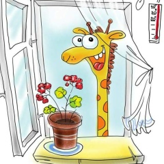 Виктория Хоста