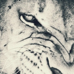 Shaxboz Majidov, 02.02.1995, Самарканд