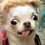 Данечка Манюня, 17.02, Ростов-на-Дону