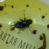 Александр Любомирский, 24.05