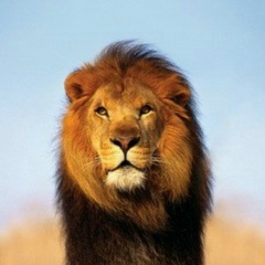 Аділхан Омаров, 26.02.1992, Шымкент