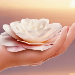 Аня Лебедевич, Вороново