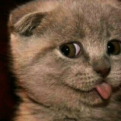 Михаил Фирсанов, 19.07.1977