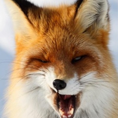 Иван Гричановский, 20.01.1985, Конотоп