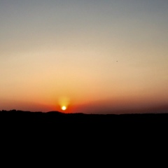 Never Have, Киев