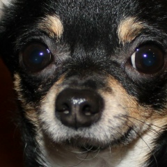 Владимир Дарымов, 03.01.1977