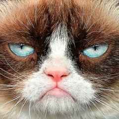 Александр Кондрат, 23.02.1986, Санкт-Петербург