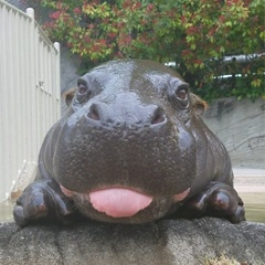 Ирина Кочукова, 10.05.1987, Геническ