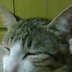 Miguel Sardenberg, 31.05.1999, Rio de Janeiro