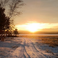 Елена Карпова, Таксимо