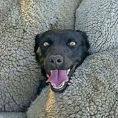 Рустам Валеев, 23.12, Dortmund