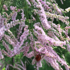 Татьяна Иванова, 16.06.1972, Санкт-Петербург