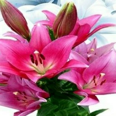 Меруерт Турсынгалиевна, 29.10, Жезказган