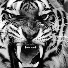 Константин Пинахин, 04.09, Москва