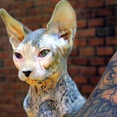 Виталий Нещерет, 23.09.1983, Киев