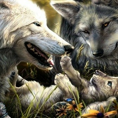 Тамаз Курноскин, 10.10, Санкт-Петербург