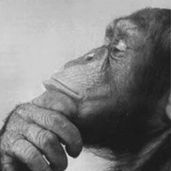 Galimzhan Tleboldinov, 27.02, Davis