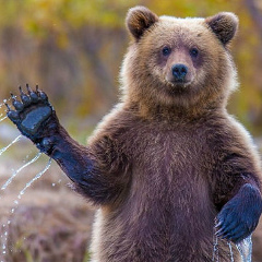 Pablo Escobar, 31.12.1990