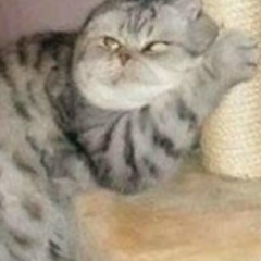 Gustavo Varela, 02.07.1993, Rio de Janeiro