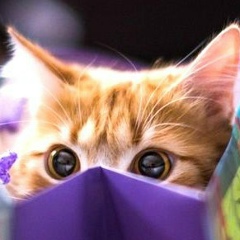 Настенька Митрофанова, 16.10.1993, Стерлитамак