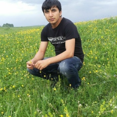 Rauf Mamedov, 25.11.1992, Марнеули