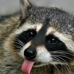 Андрей Кравченко, 19.07.1980, Кривой Рог