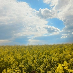 Светлана Катеринич, 13.07.1985, Днепр (Днепропетровск)