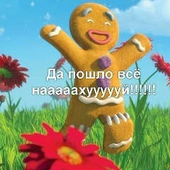 Дмитрий Николаев, 05.01.1987, Санкт-Петербург