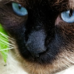 Андрей Тимин, 22.09