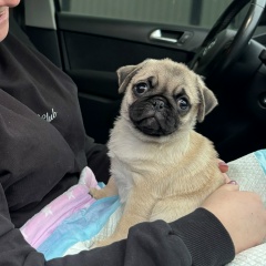 Екатерина Барздо, 01.01, Дмитров